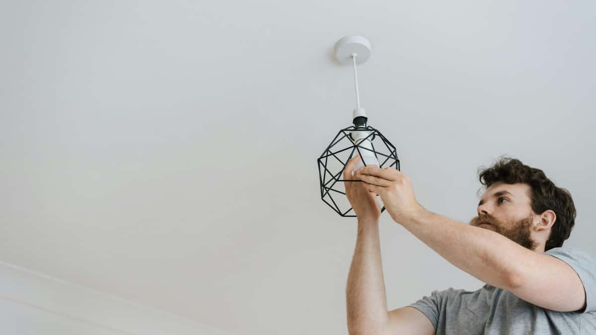 Standard Electric Wholesale