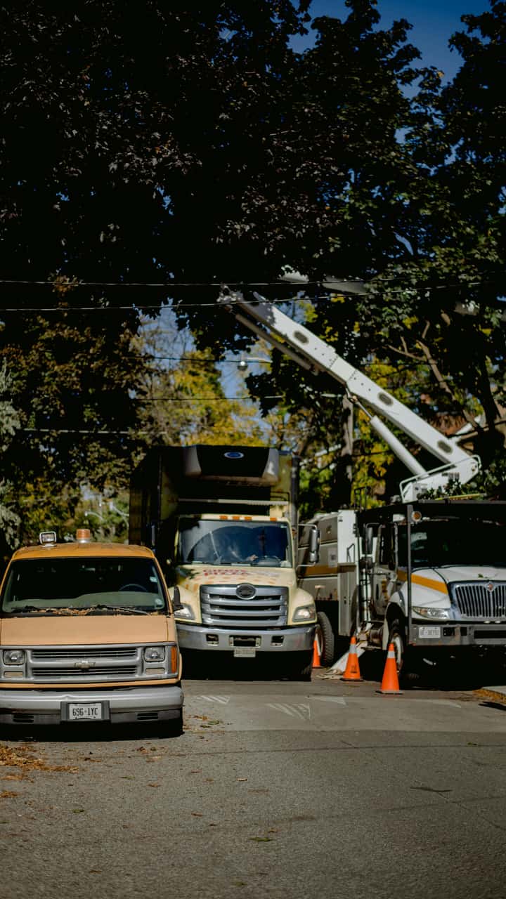 Standard Electric Wholesale